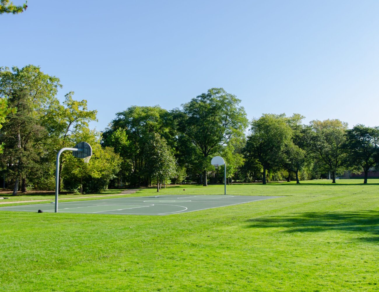 Glenview Farmers Market, June-Oct at Historic Wagner Farm photo 8