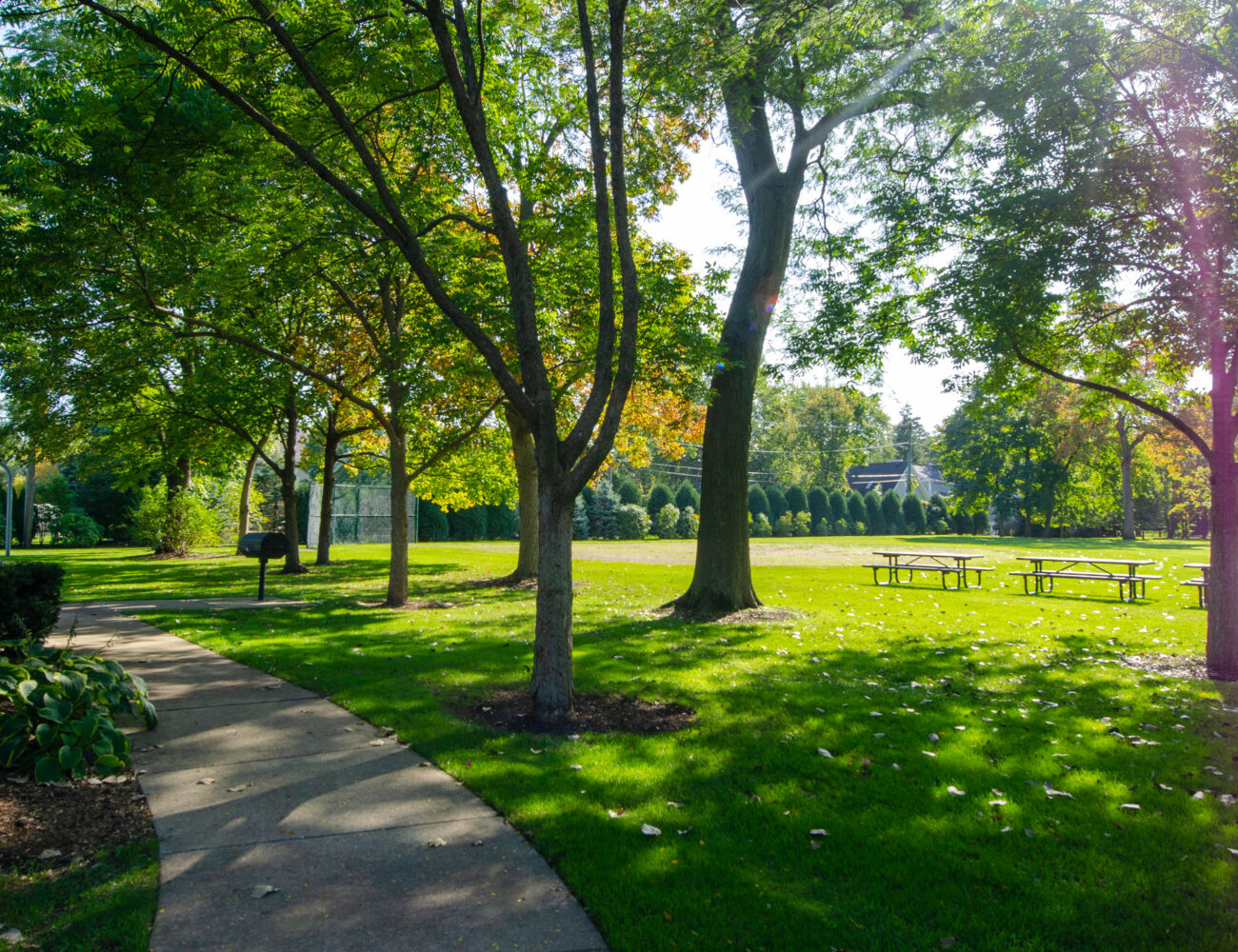 Glenview Farmers Market, June-Oct at Historic Wagner Farm photo 11