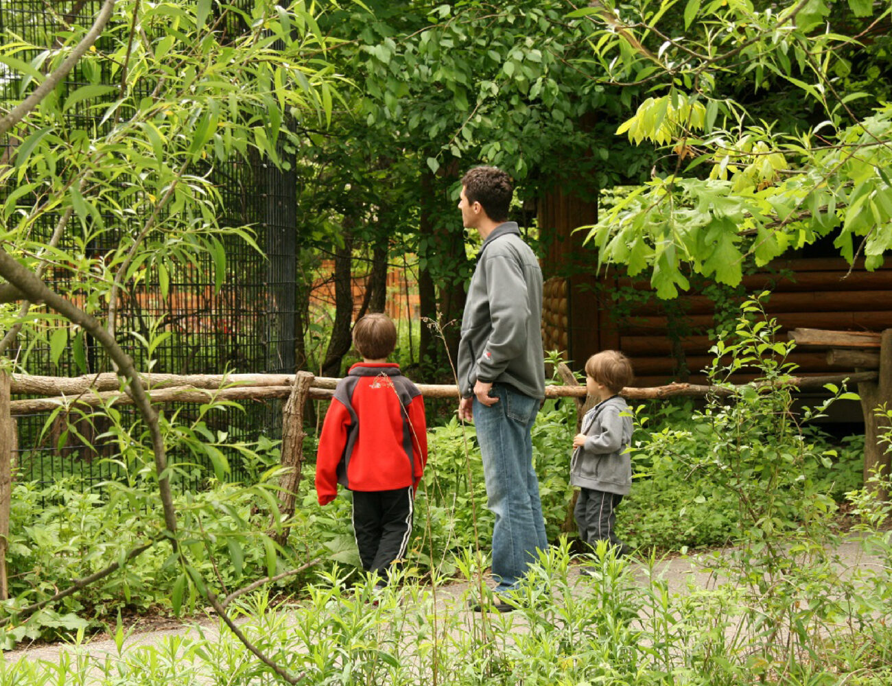 Glenview Farmers Market, June-Oct at Historic Wagner Farm photo 4
