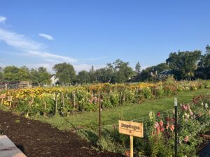 A field of wildflowers at Historic Wagner Farm.